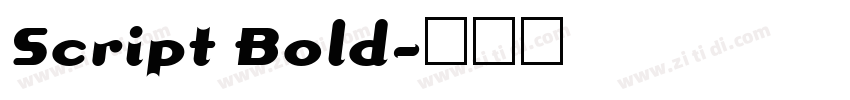 Script Bold字体转换